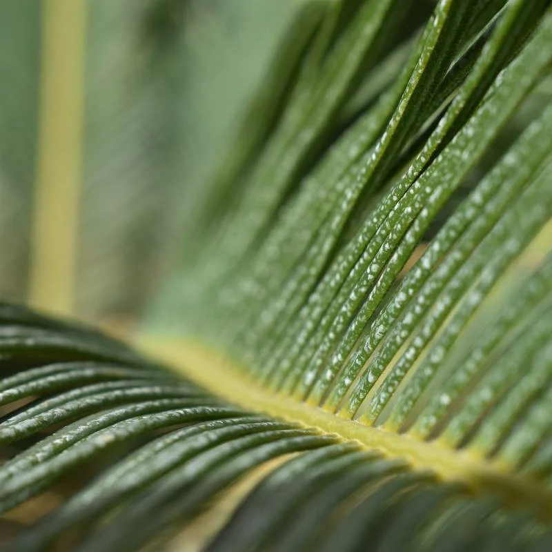 Performance marketing creative showcase