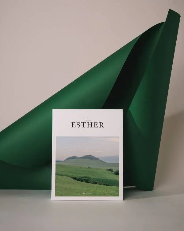 How to Choose Colors for Your New Brand